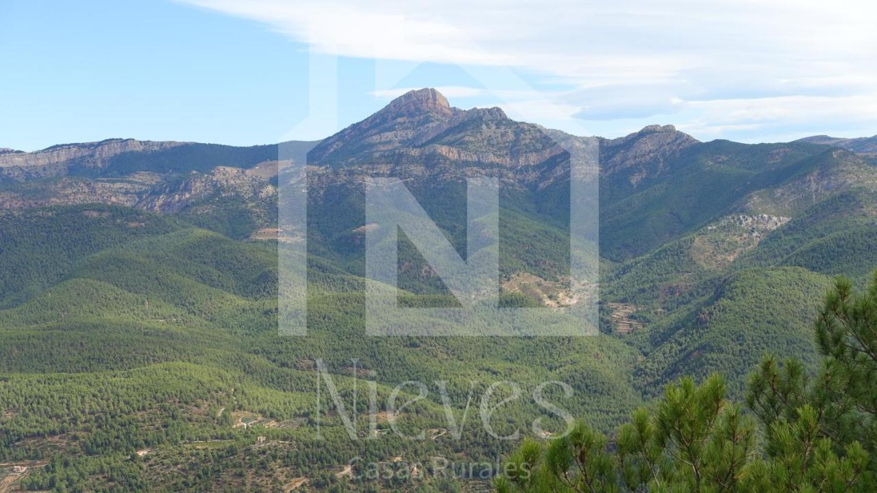 Casa Nieves-el Nido Del Carbo *